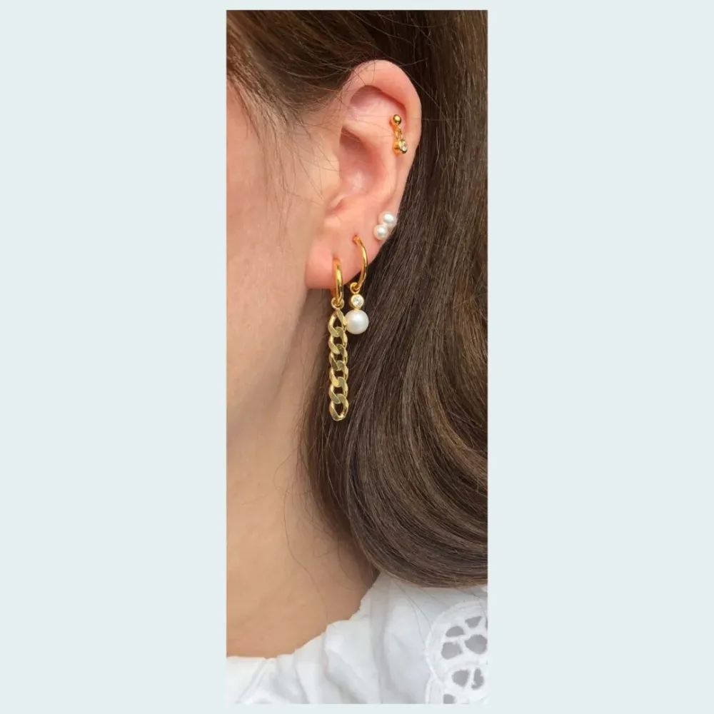 Earring Purchase Deux ørering, Forgyldt sølv Database Subscription
