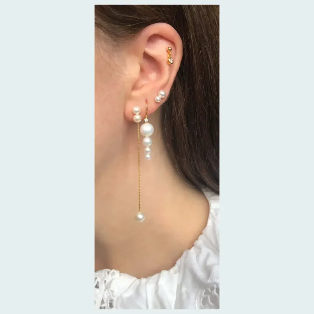 Earring Purchase Deux ørering, Forgyldt sølv Database Subscription