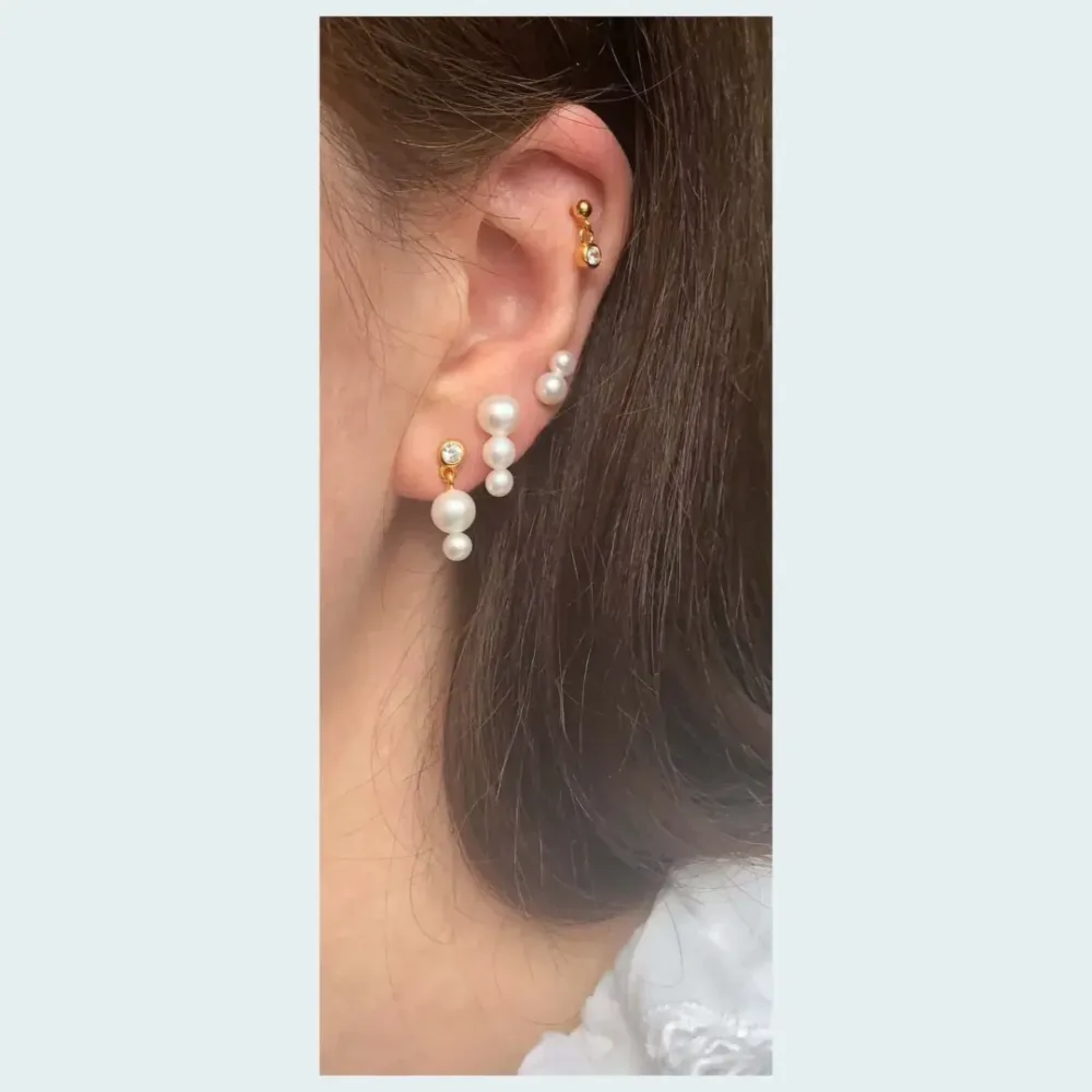Earring Purchase Deux ørering, Forgyldt sølv Database Subscription