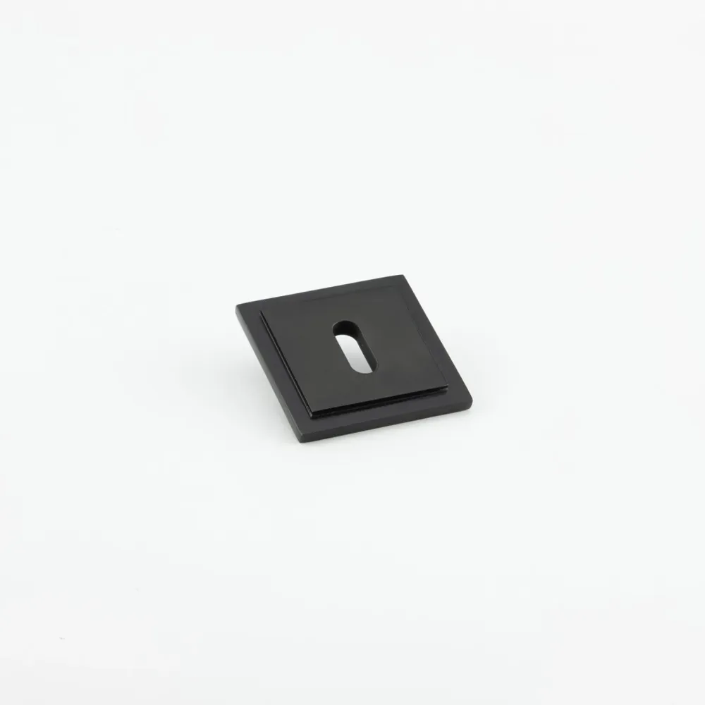 Keyhole Escutcheon SQSE2 | WAAS | Bluetooth Matt