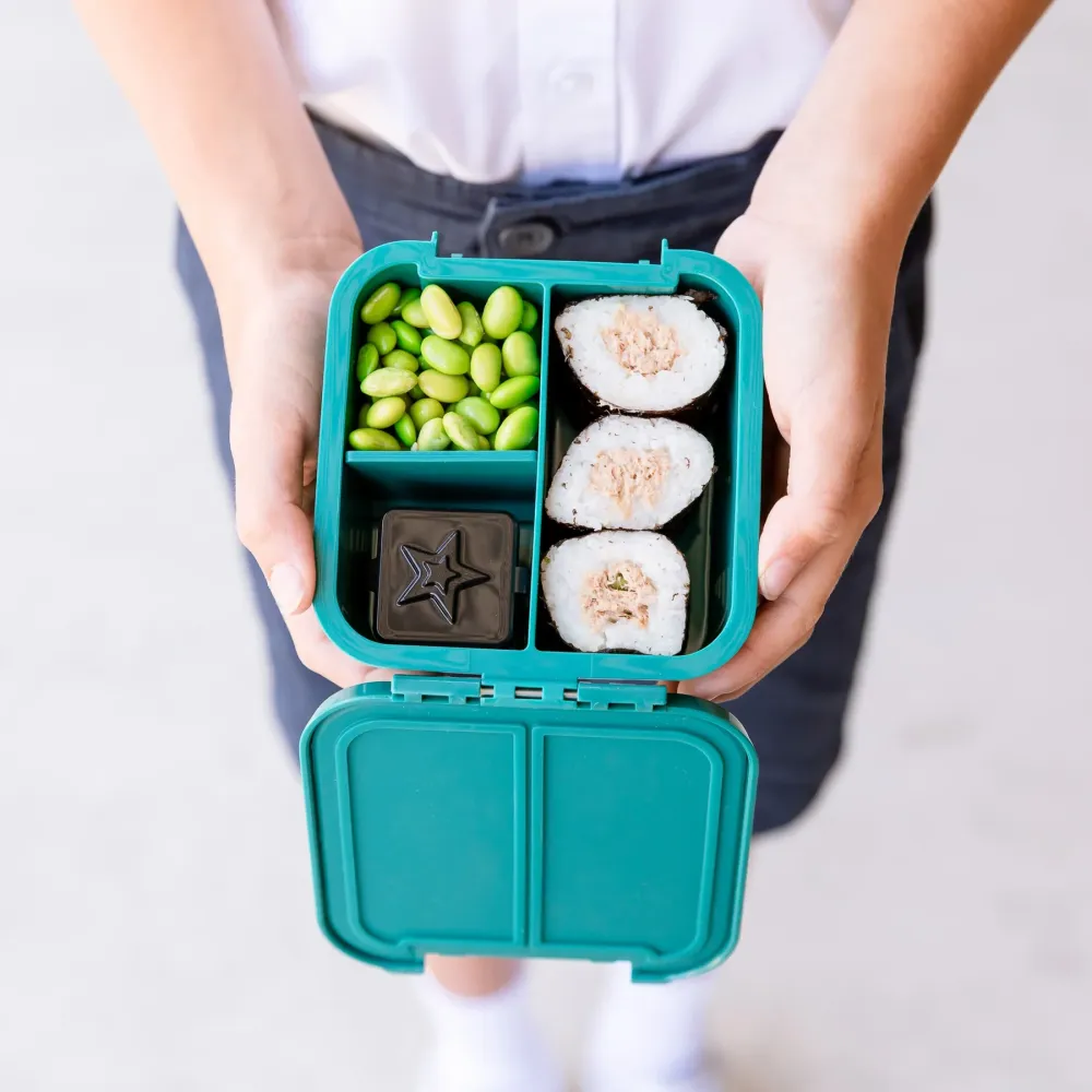Montii Bento Two Snack Box - Game On DO-160 Environmental Testing