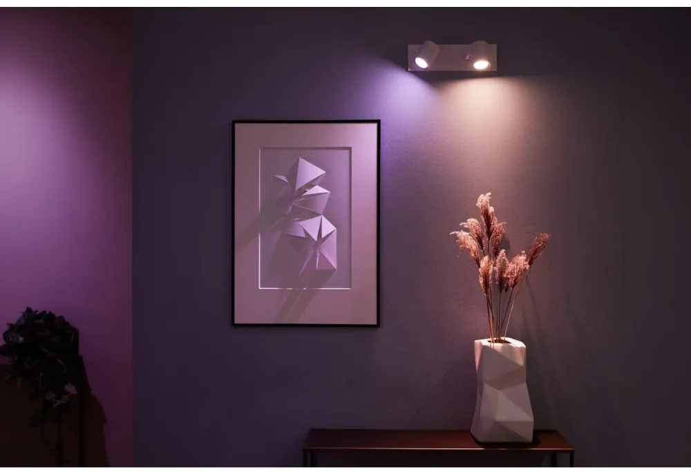 PHILIPS HUE ARGENTA ENKELT 2-SPOT SNOW 915005762001