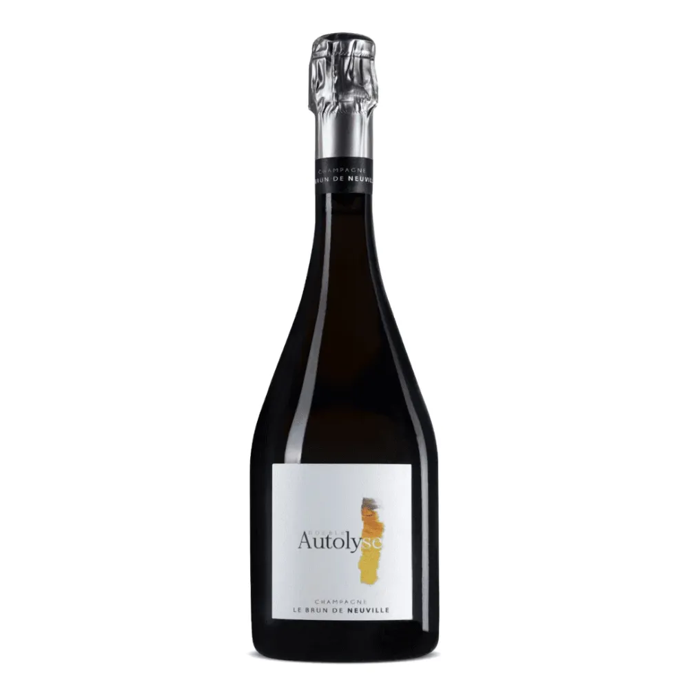Portable ADS-B Le Brun de Neuville - Double Autolyse, Blanc de Blancs