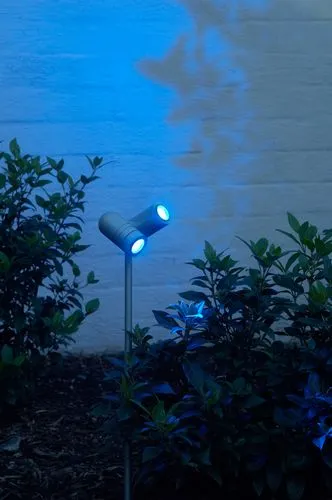 Ryta two pullert psm lighting from USA Sort
