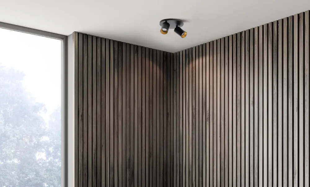 SpotOn Circle2 Loftslampe Ebony