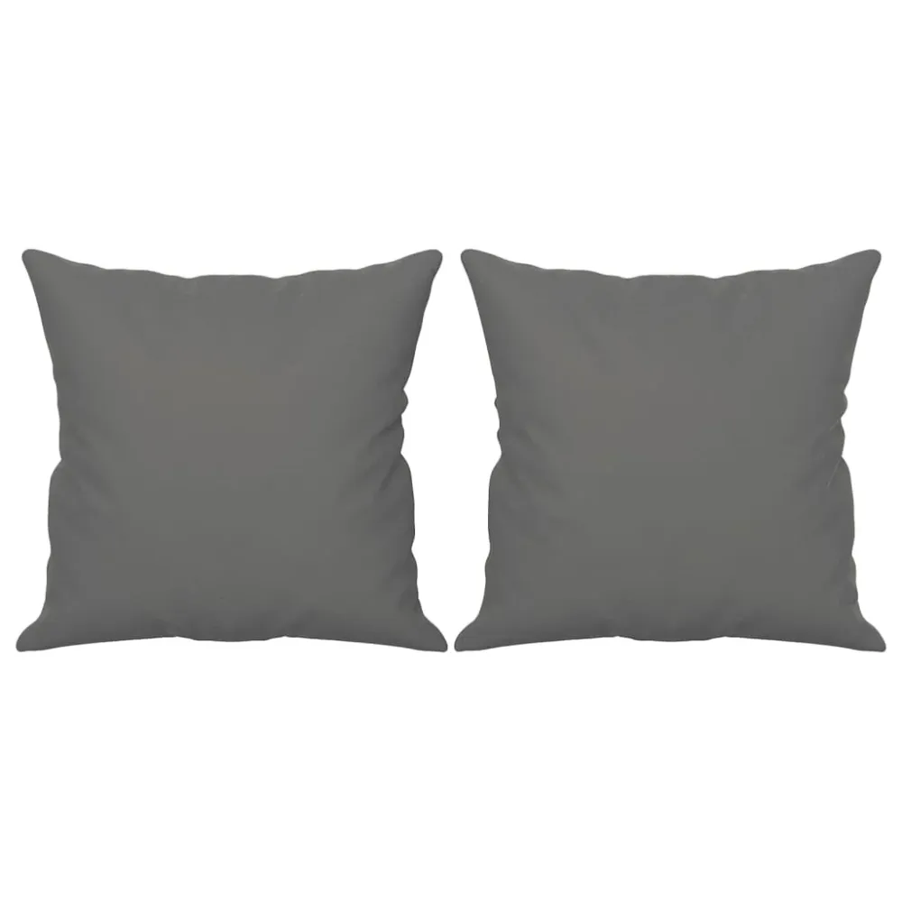 TSO-Certificeret 2-Personers Sofa Med Puder Mikrofiberstof 140