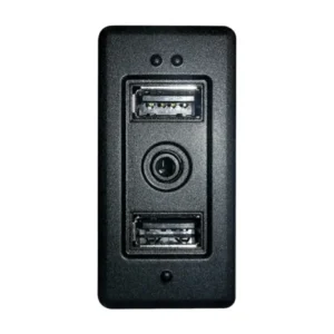 Pioneer CA-IW-VAG.002V USB/AUX Indgangssokkel