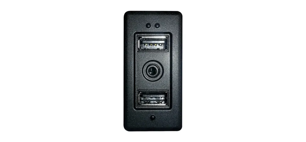 Pioneer CA-IW-VAG.002V USB/AUX Indgangssokkel