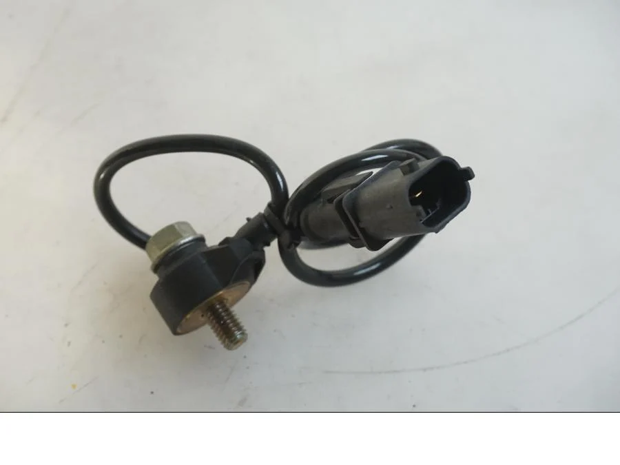 knacksensor Indian