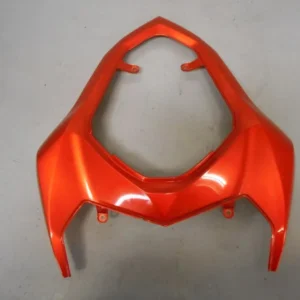 Bagvinge Kawasaki