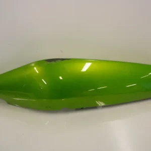 Bagvinge Kawasaki