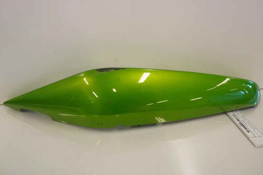 Bagvinge Kawasaki