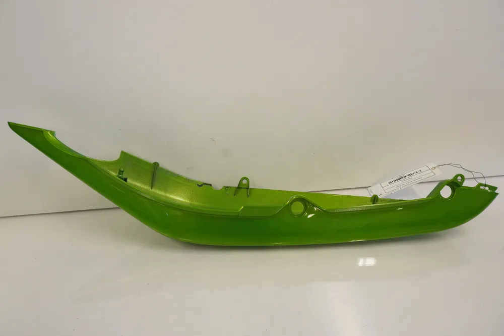 Bagvinge Kawasaki