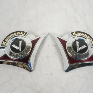 Benzintankdekor Kawasaki