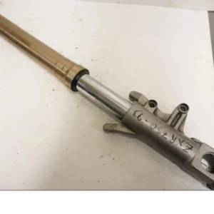 Gaffelben Kawasaki
