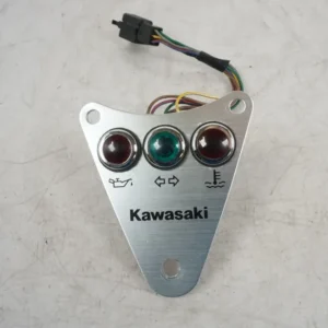 Kontrollamper Kawasaki