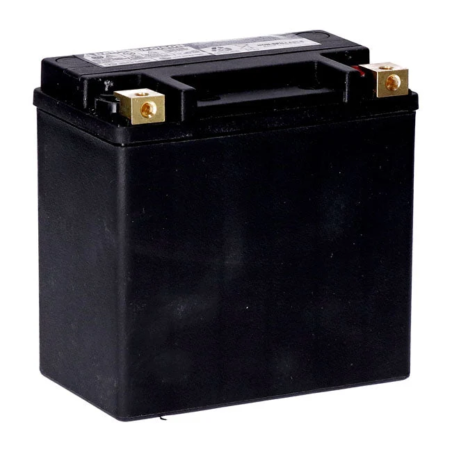 MCS 12V AGM-batteri 14Ah 240CCA