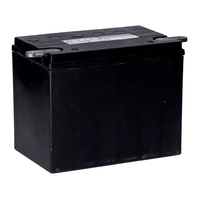 MCS 12V AGM-batteri 30Ah 370CCA