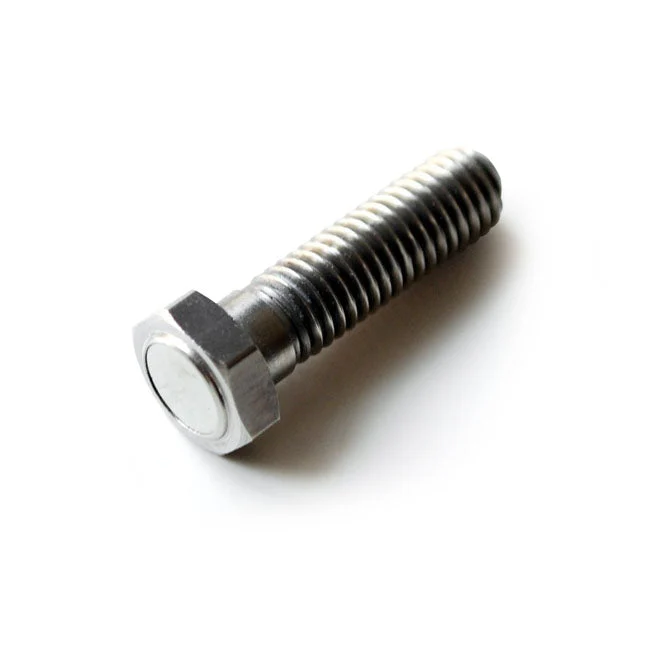 Motogadget Magnetbolt M8