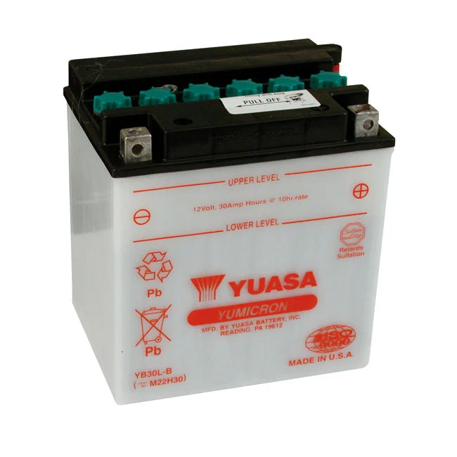 Yuasa Yumicron 12V blysyrebatteri 30Ah 300CCA