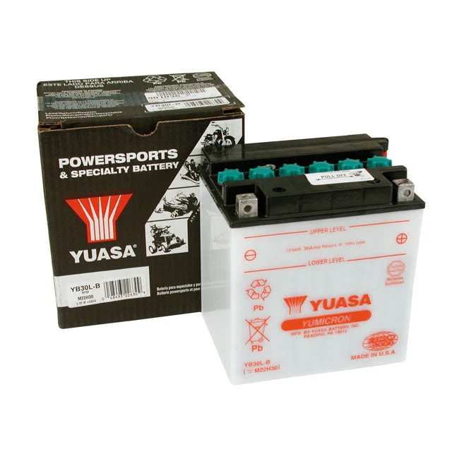 Yuasa Yumicron 12V blysyrebatteri 30Ah 300CCA