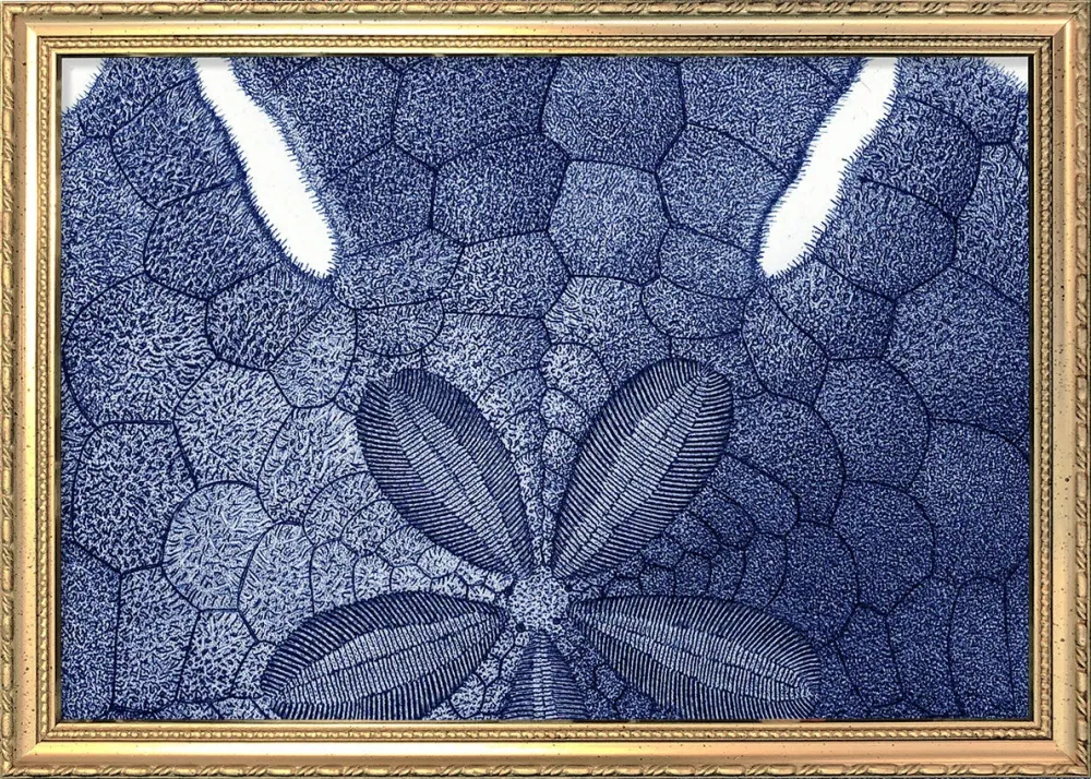 Sea Urchin without Spines - detail 15x21
