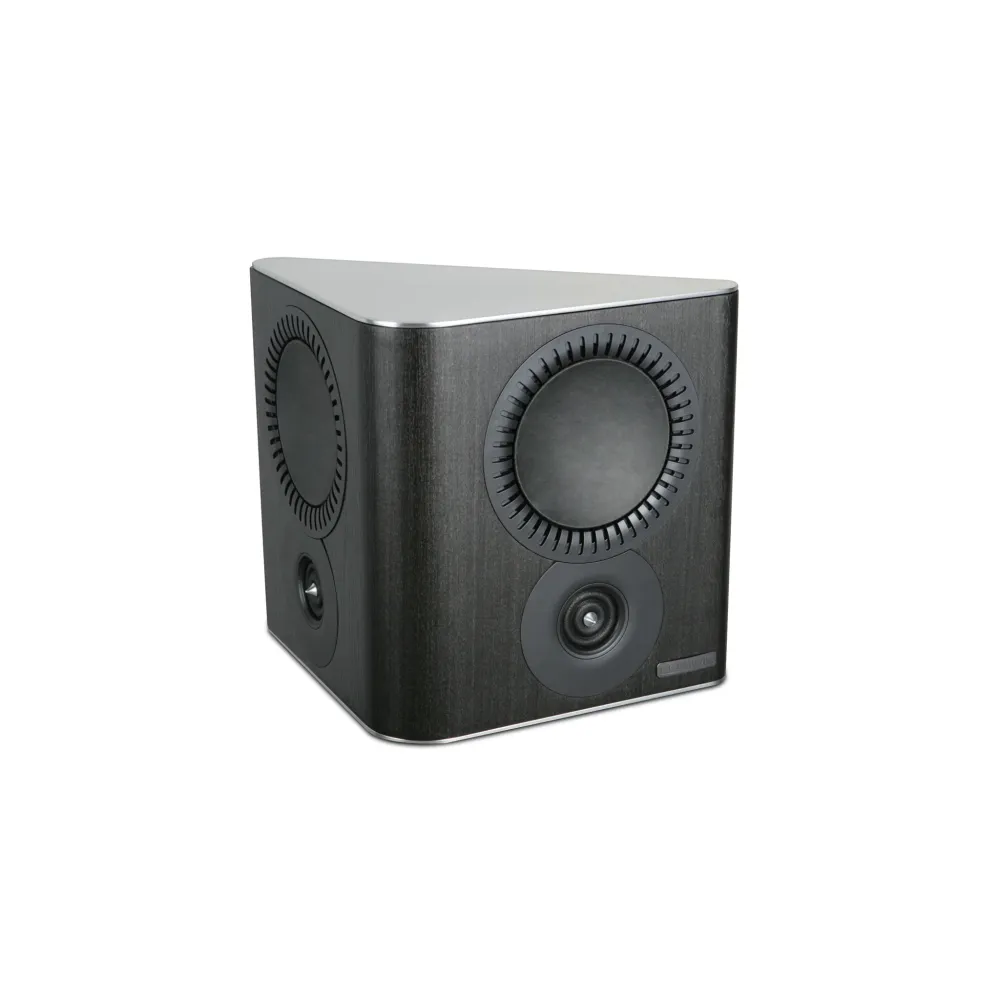 Mission QX-S DEMO (High-gloss Black) from Florida