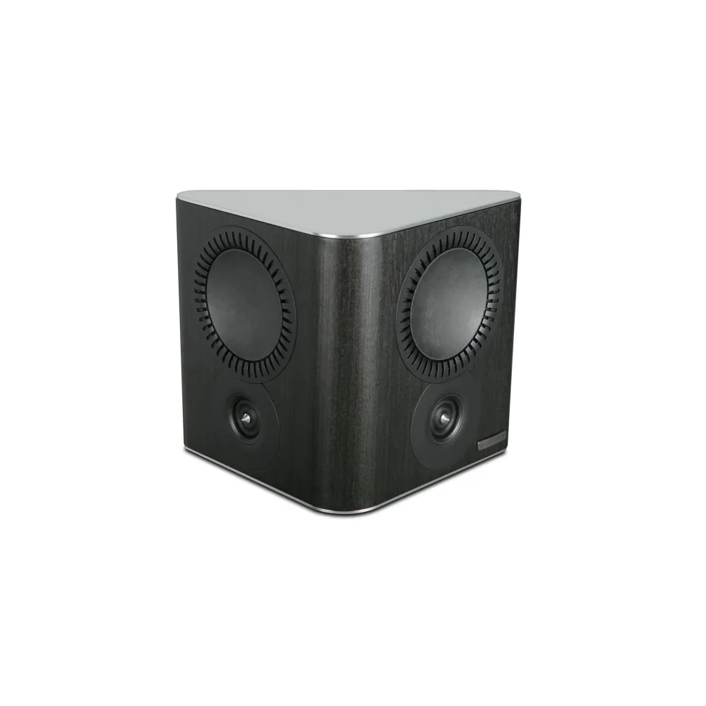 Mission QX-S DEMO (High-gloss Black) from Florida