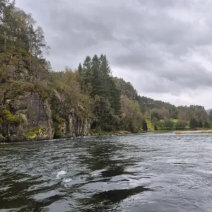 Fiskerejse til Suldalslågen (sydvest Norge) - uge 39