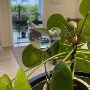 Conzept - Selvvandingsfugle borosilicate glas 2 stk.