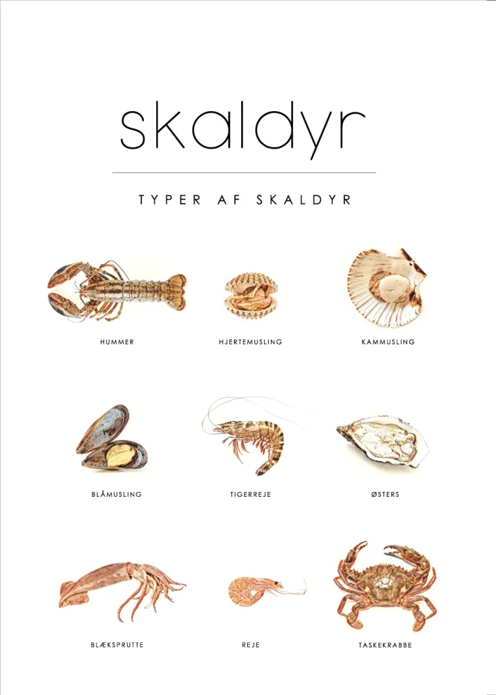 Flush Mount Skaldyr - Mad guide plakat nr. 2 70