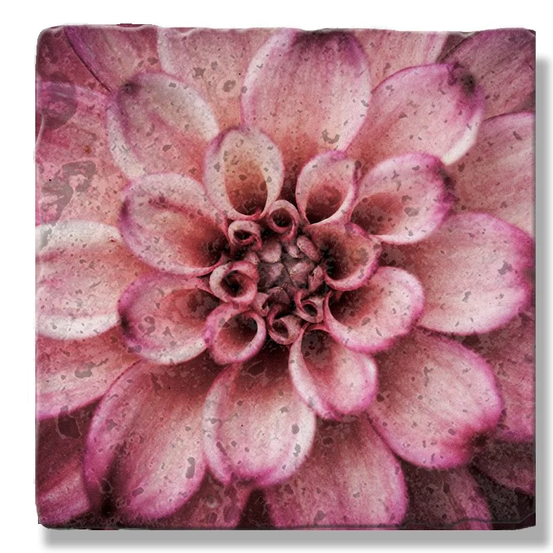 Fuchsia Dahlia 2 coaster GPS & Sonar