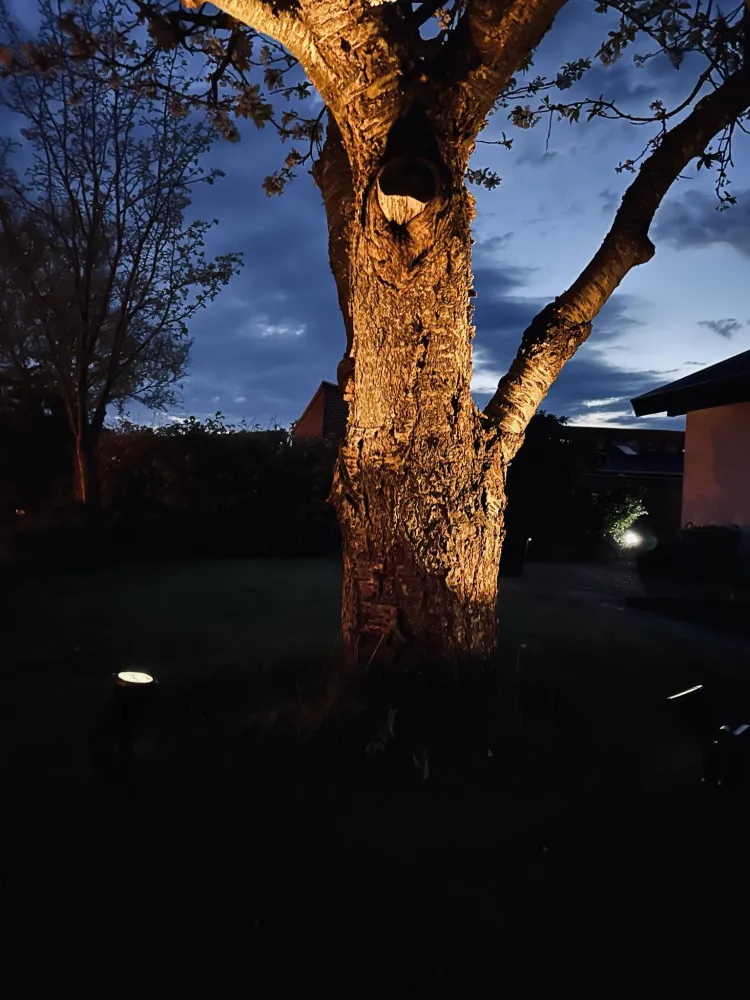 Havespots med solceller – Sæt med 2 stk