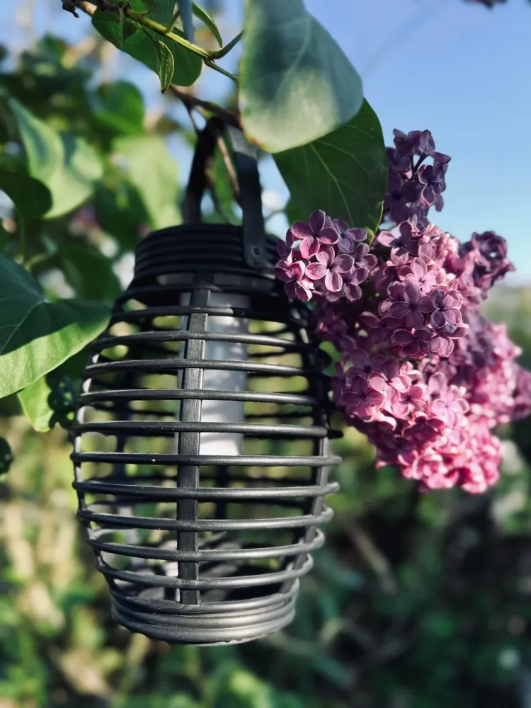 Lanterne med solceller - Sizable model - Tilbud med 2 stk