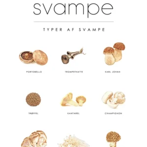 NMEA 2000 Svampe - Mad guide plakat nr. 2 50