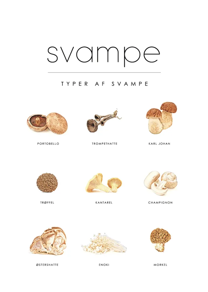 NMEA 2000 Svampe - Mad guide plakat nr. 2 50