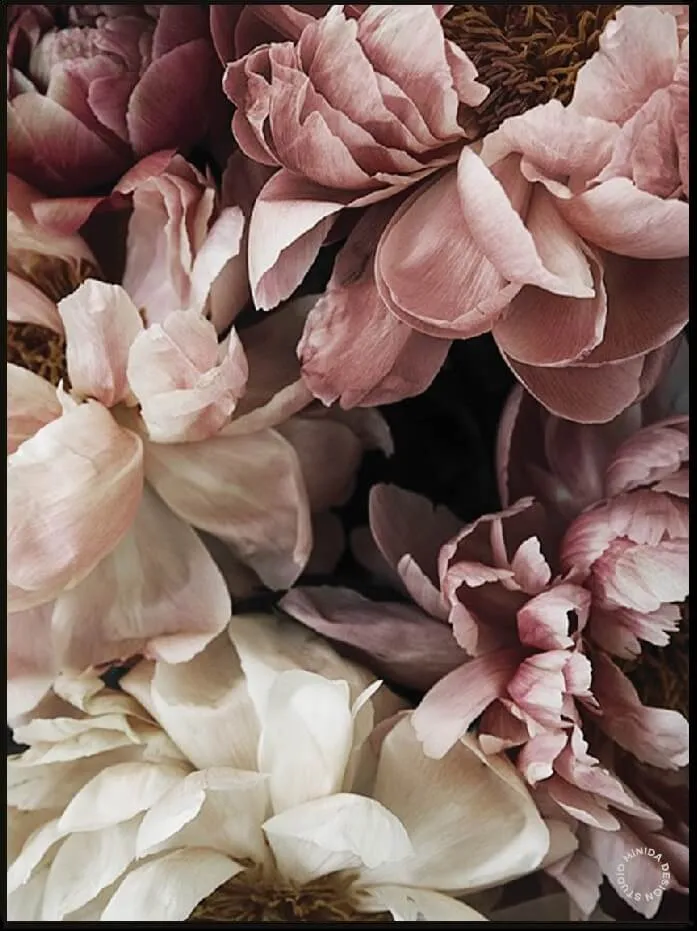 Plakat - Dusty Roses #2 - Minida 30
