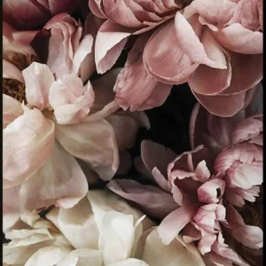 Plakat - Dusty Roses #2 - Minida 30