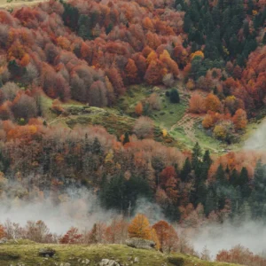 Plakat - Foggy Mountains 02 90x