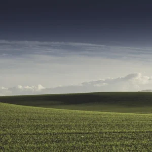 Plakat - Summer Fields 02 140