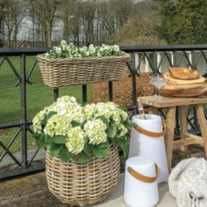 Plantekurve Sally Nature – 2 størrelser
