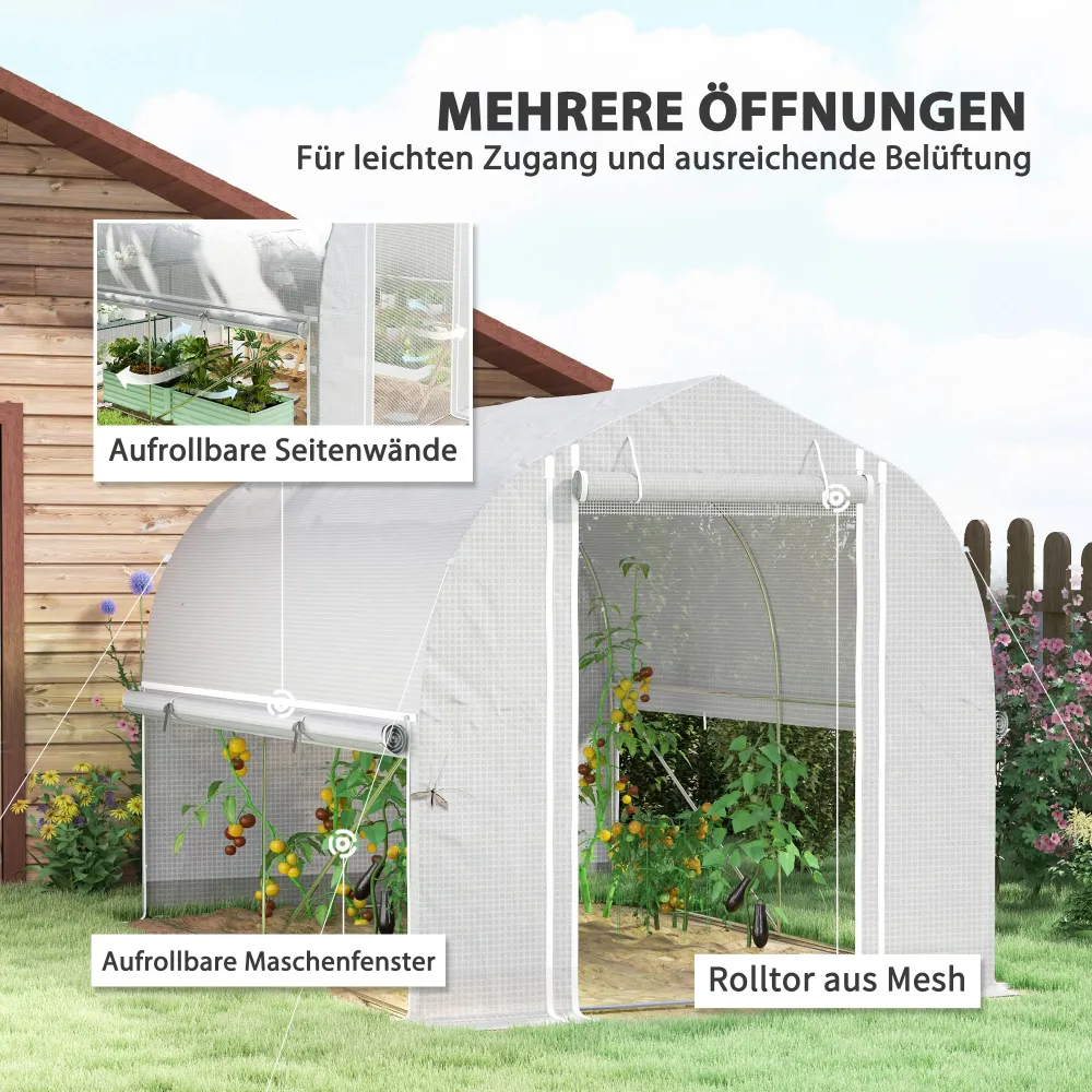 3 X 2 x 2 m polytunnel drivhus med oprullbare sidevægge, uv-bestandigt plastikdæksel og stålramme, ivory