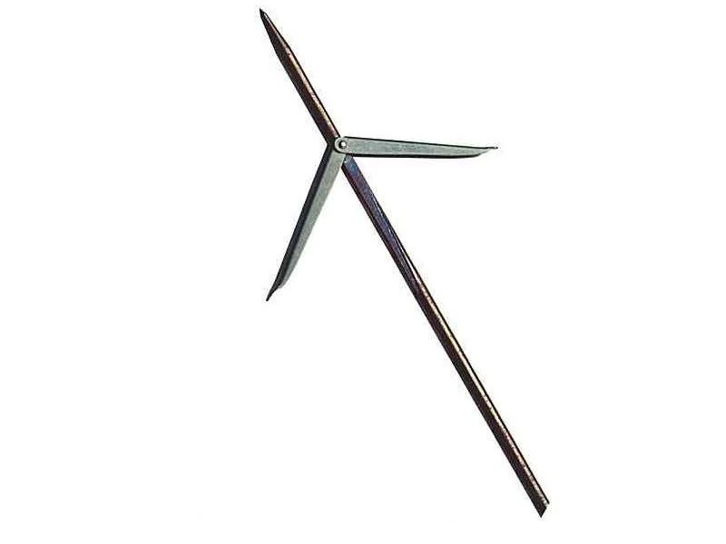 Spids 2-Barb Lang Trinidad