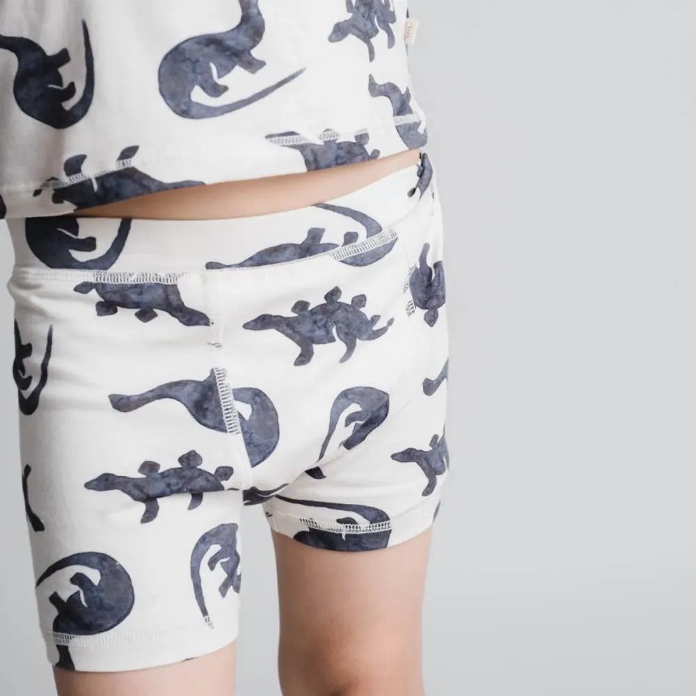 That's Mine Mono Dino Ebbe Boxershorts 2-Pak Preloaded Charts