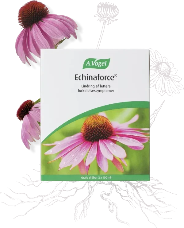 . Vogel Echinaforce - 2*100 ML