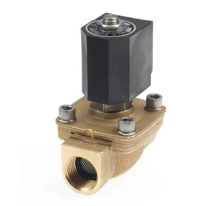 Johnson AquaT magnetventil 24V
