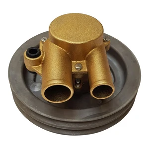 Johnson Søvandspumpe F6B-9 OEM.Volvo 21255090