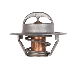 Sierra Termostat 60gr. Westerbeke