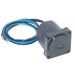 Sierra Tilt/Trim Motor. Evinrude/Johnson