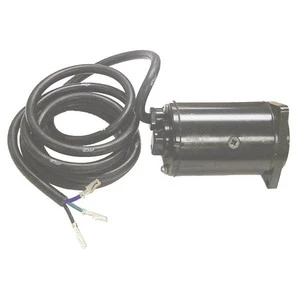 Sierra Tilt/Trim Motor. Evinrude/Johnson